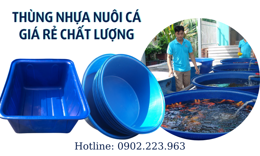 Thùng Nhựa Nuôi Cá Giá Rẻ Chất Lượng Cao Bền Đẹp