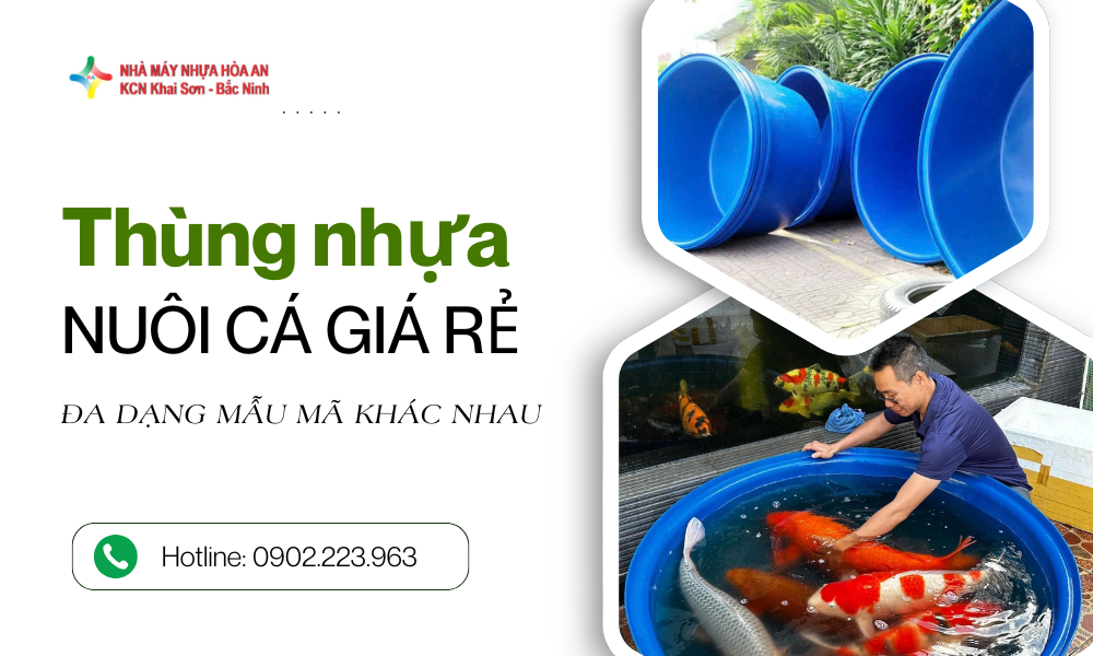 Địa Chỉ Bán Thùng Nhựa Nuôi Cá Giá Rẻ, Chất Lượng Cao 2025