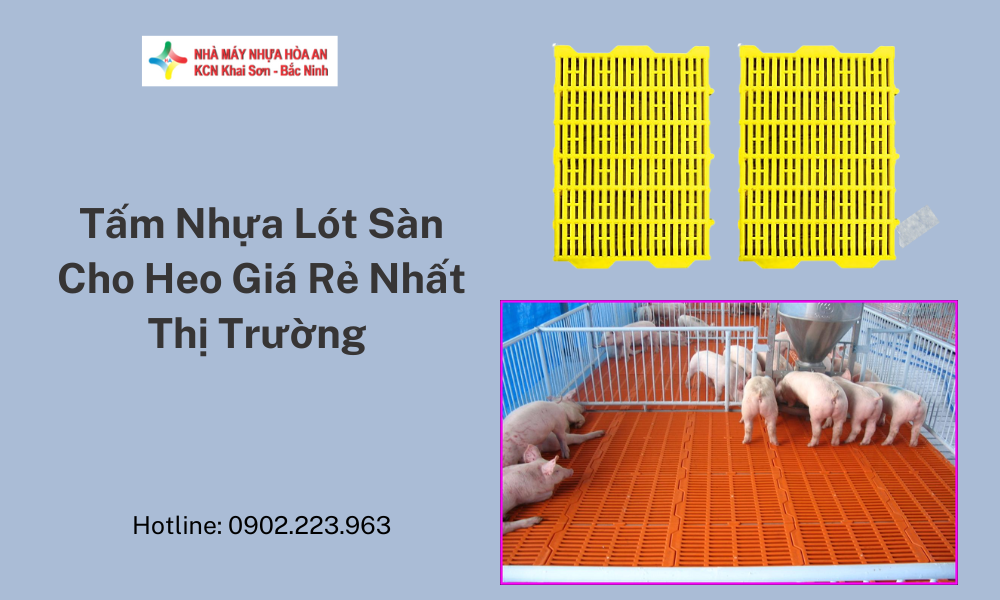 Tấm Nhựa Lót Sàn Cho Heo Giá Rẻ Nhất Thị Trường 