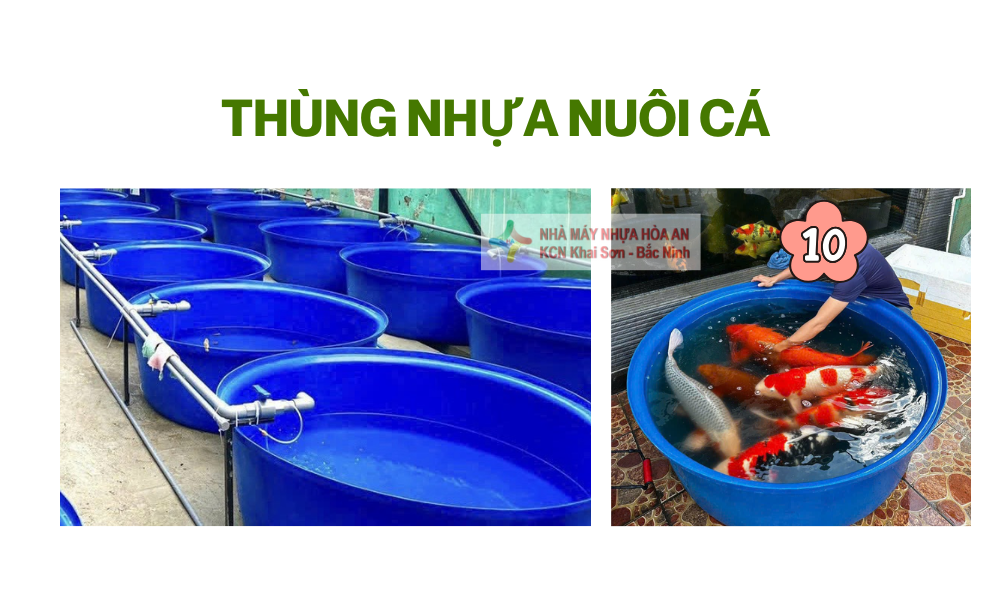 Địa Chỉ Bán Thùng Thuốc Nuôi Cá Giá Rẻ, Chất Lượng Cao 2026