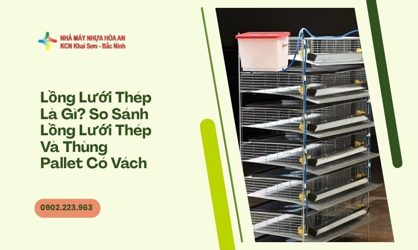 Lồng Lưới Thép Là Gì? So Sánh Lồng Lưới Thép Và Thùng Pallet Có Vách